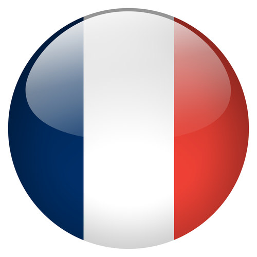 France flag button
