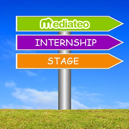 We are looking for a web marketing intern.